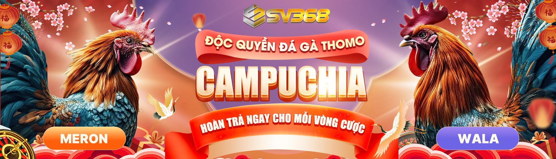 Đá Gà nhà cái HOANGCPC